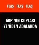 541505_4073489803018_2131259171_n