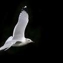 7qu3ek41fjnfmxuhacmv_reasonably_small