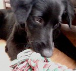 Photo on 2012-10-21 at 10.26