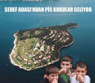 227015_4836084547410_1568232741_n