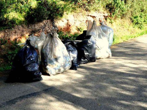 227611_528703303821078_253220747_n