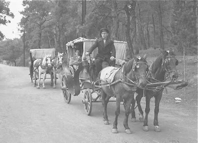 208692_196896603686085_100000972409728_488902_64351_n