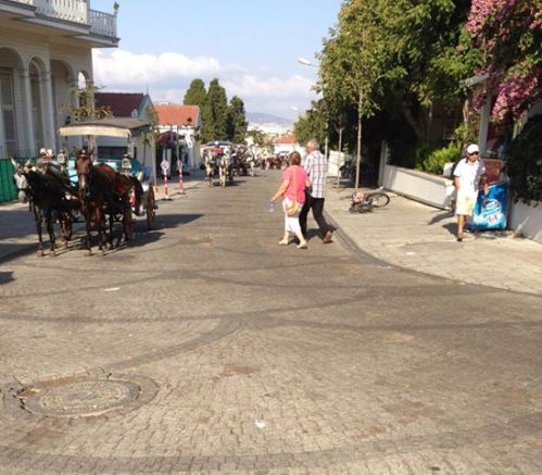 1209022_639119442779463_1380061227_n