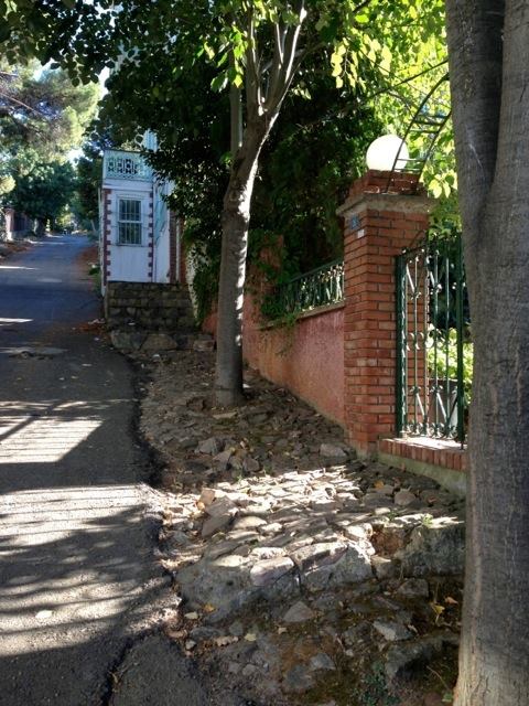 1233536_651362631555144_291106508_n