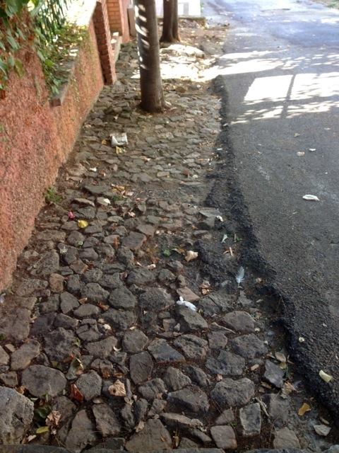 1234172_651362634888477_1866690072_n