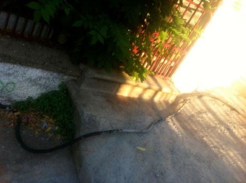 1235075_651361961555211_955213673_n