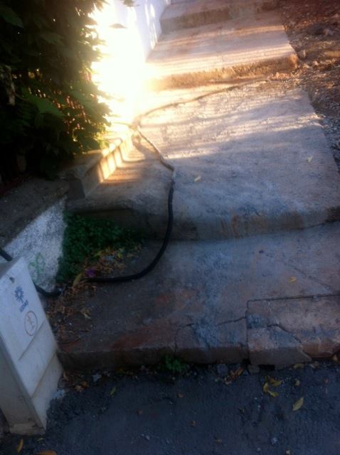 1240124_651361914888549_1434096154_n