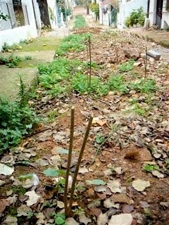 Doğanbey Sokağı yeni-1_5