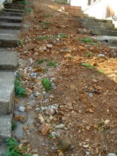 Doğanbey Sokağı yeni-2_4