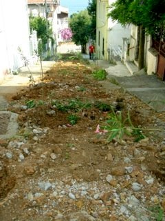 Doğanbey Sokağı yeni-3_4