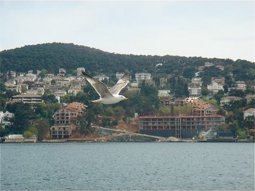 1546277_697208003637273_1284599836_n