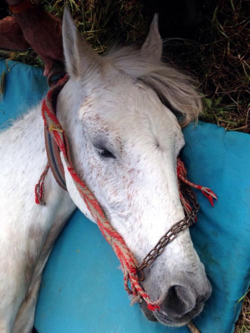 10253976_765023733522366_7206606012216608173_n