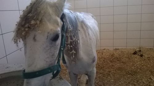 10290653_10202854568618544_9174110989053010982_n