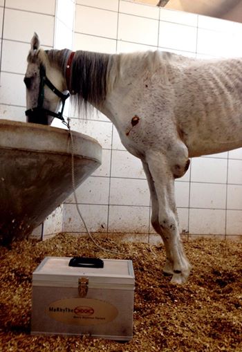 10522178_806074956083910_6585452930357989536_n