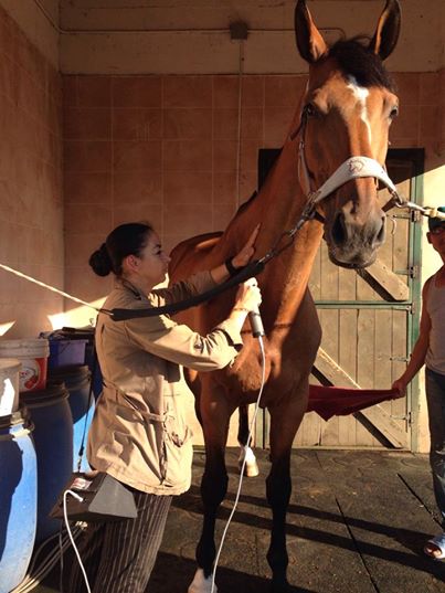 10547643_805666556124750_7154236153938186864_n