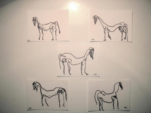 10625115_826159037408835_1850171142536661460_n