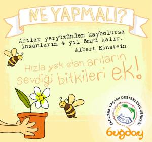 1891020_643112259070523_1660201563_n