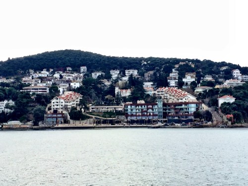 󾓯: Adı Cadı Kadın, 