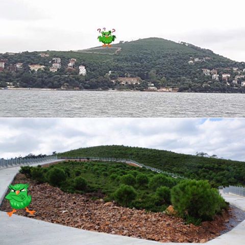 12376656_1282499201765744_6285196045725184169_n