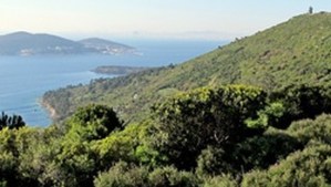 55eaf09cf018fbb8f8a0793d