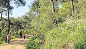 55eaf09cf018fbb8f8a0793f