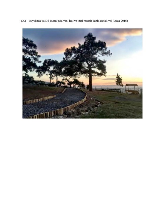 dernek-say-2016-51d-adalar-o-rman-isletme-sefligine-orman-yollarinin-asfaltlanmasiyla-ilgili-20161031-ekler