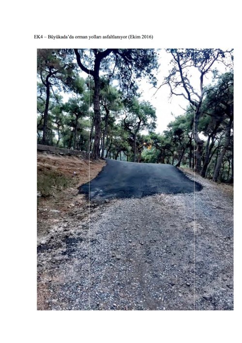 dernek-say-2016-51d-adalar-o-rman-isletme-sefligine-orman-yollarinin-asfaltlanmasiyla-ilgili-20161031-ekler