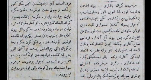 7 ekim marmarada köpek bal