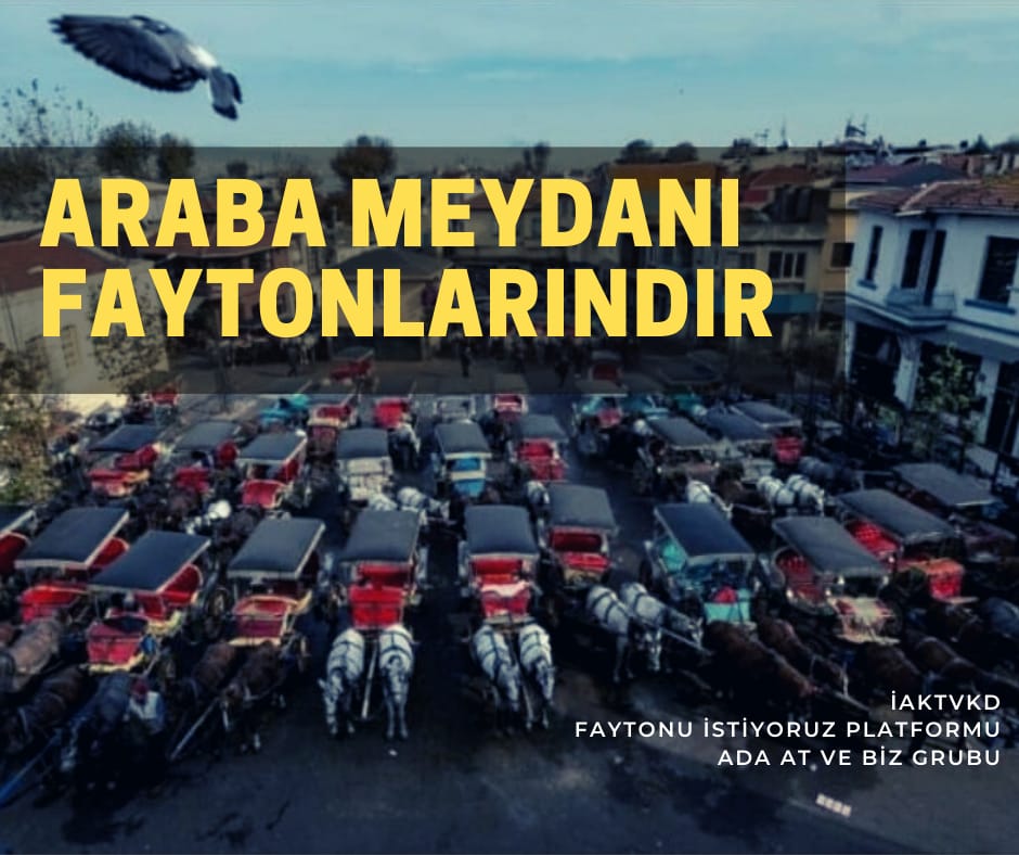 Araba Meydanı